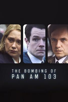91桃色视频《泛美航空103航班爆炸案 The Bombing of Pan Am 103》免费在线观看