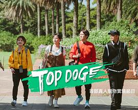 91桃色入口《TOP DOG》免费在线观看