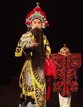 91桃色视频《袁崇焕2009》免费在线观看