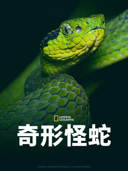 91桃色视频《奇形怪蛇》免费在线观看