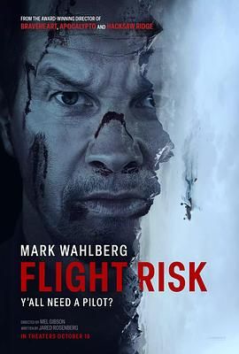 91桃色视频《插翅难飞 Flight Risk》免费在线观看